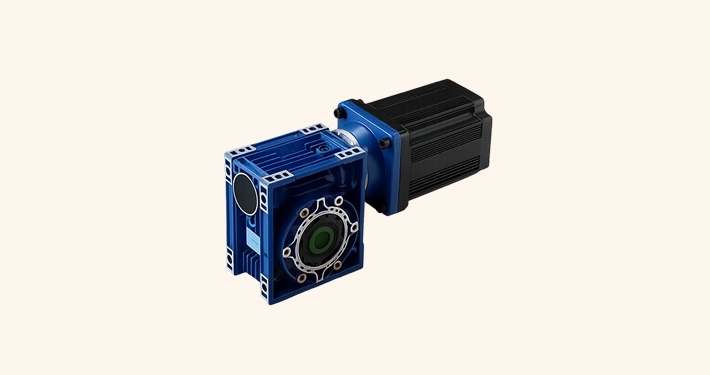 750W BLDC worm gear motor